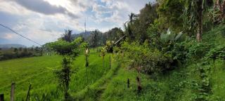 Pondok Kalanganyar - 3