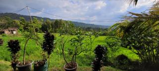 Pondok Kalanganyar - 2