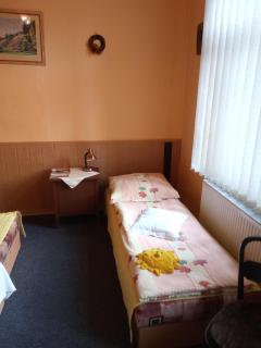 Pohodový apartmán se zahradou - Úpice - 6