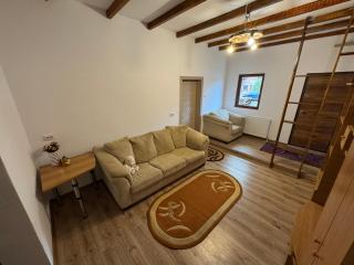 Casa Olivia - Buşteni - 1