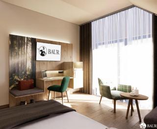 Hotel Spinnerhof - Sasbachwalden - 7