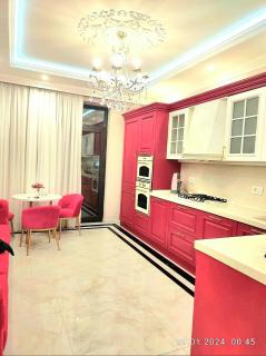 Apartment in the center, with 2 bedrooms! - Baku - 0