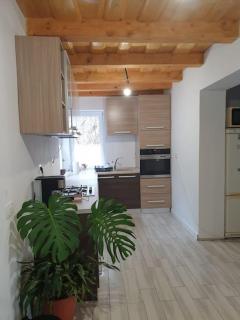 Housing VaduCrisului casa GenySa - 3