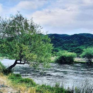 River Side Villa - Dushetʼi - 3