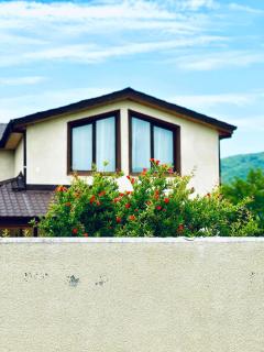 River Side Villa - 2