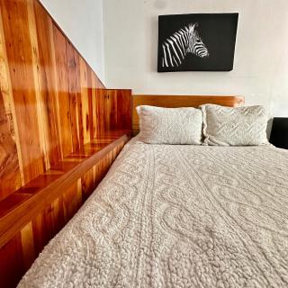 La Etelvina Suites - San Cristóbal de Las Casas - 5