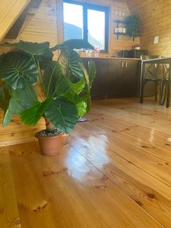 Sunny side cottage - Kasbegi - 5