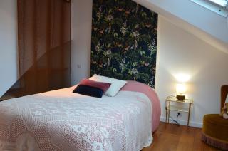 Loft de 110m² dans le cœur historique d'Angers - Angers - 3