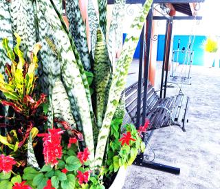 Temporada Belas Casas - 4