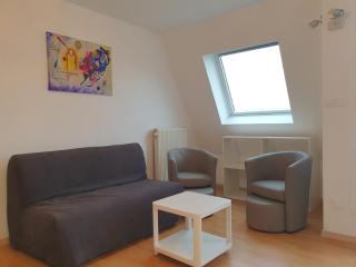 Zénith Sky - Strasbourg - Eckbolsheim - 9