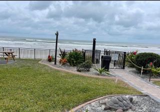 Single or Double Beach Studio Oceanfront Pool & Tiki - Daytona Beach Shores - 1