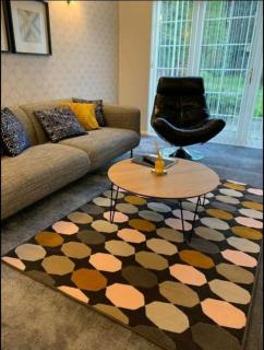 Birmingham Bungalow Serviced Apartment NEC Airport Bullring - 9