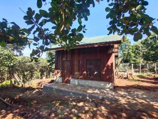 Tree Trails Homestay & Offers Jungle Trekk-Scooter For Rental - Banlung - 4