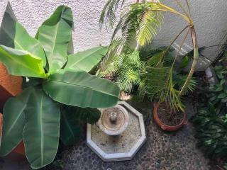 Colonial Villa in Laureles, Unique&Special House - Medellín - 5