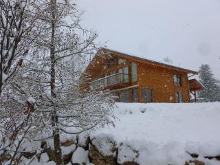 Chalet Tao l'écrin de bois - Ponsonnas - 9