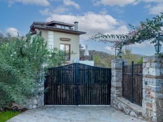 Almond Tatil Evi - Marmaris - 8