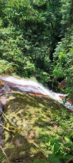 Nature Lodge - Tarapoto - 9