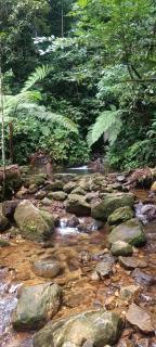 Nature Lodge - Tarapoto - 5