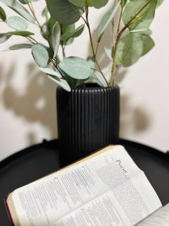 Plumera Mactan Lapu Lapu near Mactan Cebu International Airport - 5