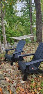 Lot 7 Tiny Home on the River - 1