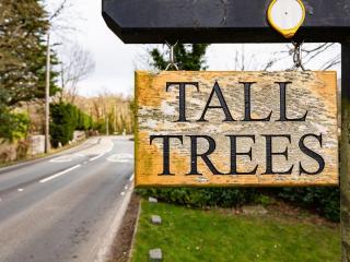 Tall Trees - Whitstable - 5