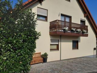 Tromm - Blick Comfortable holiday residence - Rimbach - 9