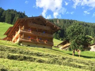 Jogglelerhof Comfortable holiday residence - Finkenberg - 0