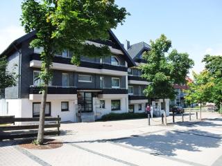 Ferienwohnung Köhnke 3 - Hahnenklee-Bockswiese - 9