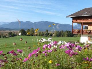 Alpspitz Comfortable holiday residence - Murnau am Staffelsee - 6