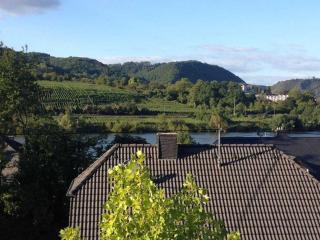 Moselschön 2 Comfortable holiday residence - Brodenbach - 9