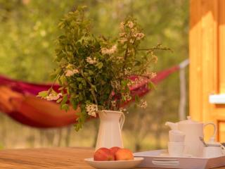 Kronseewald Comfortable holiday residence - - 7