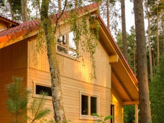Kronseewald Comfortable holiday residence - - 9