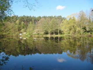 Holiday house with 1 bedroom - Sewekow - 9