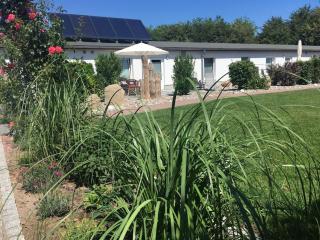 Sea View Comfortable Holiday Residence - Kägsdorf - 8