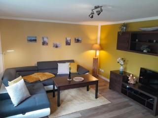 Zugspitz Comfortable holiday residence - Olbersdorf - 9