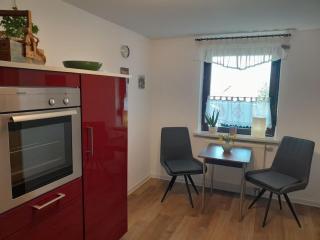 Zugspitz Comfortable holiday residence - Olbersdorf - 7