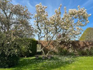 Stablehurst Cottage - 1