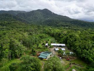 Daintree Peaks ECO Stays - Daintree - 0