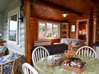 Trawsfynydd Cabin - Trawsfynydd - 9