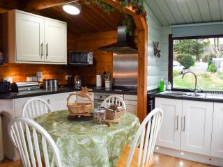 Trawsfynydd Cabin - Trawsfynydd - 7