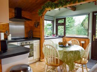 Trawsfynydd Cabin - Trawsfynydd - 5