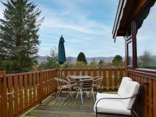 Trawsfynydd Cabin - Trawsfynydd - 1