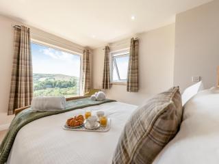 Llwynblyfyn - Llansawel - 9
