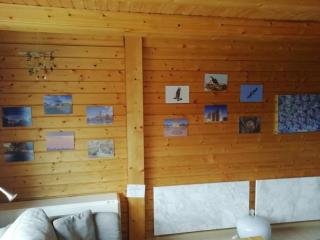 Pongratz Comfortable holiday residence - 1