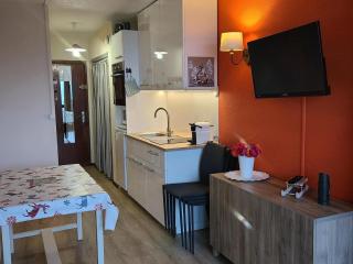 Charmant Studio Pied des Pistes - 4 Pers. - FR-1-689-144 - Villard-de-Lans - 0