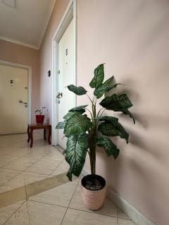 Mirela’s Apartment City Center - Tirana - 6