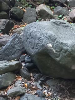 Penu Maurua 2 - Te-Fare-Arii - 6