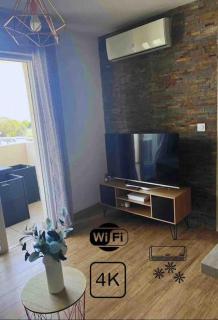 2 pièces magnifique vue mer et montagne - 2