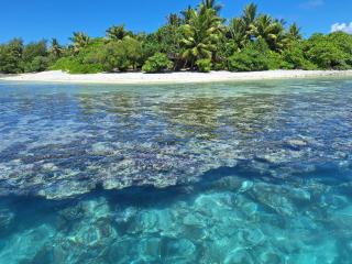 Penu maurua - Te-Fare-Arii - 9