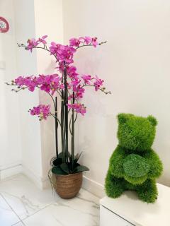 Best Location Calm Palais Royal Louvre Opera Concorde CLIM - 6